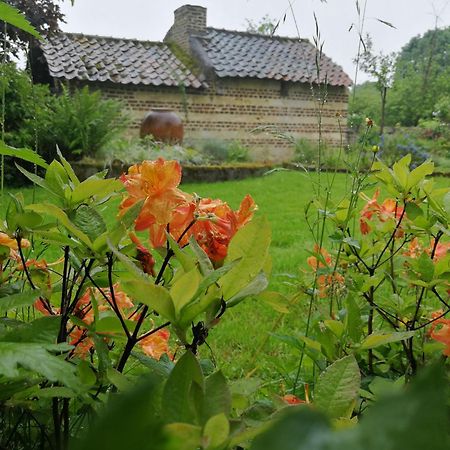 Appartamento La Vache Contente Maastricht Esterno foto